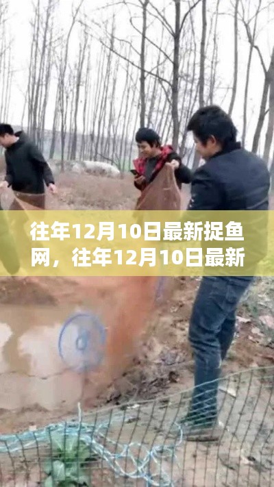 往年12月10日最新捉鱼网，捕鱼技巧与实用工具一网打尽