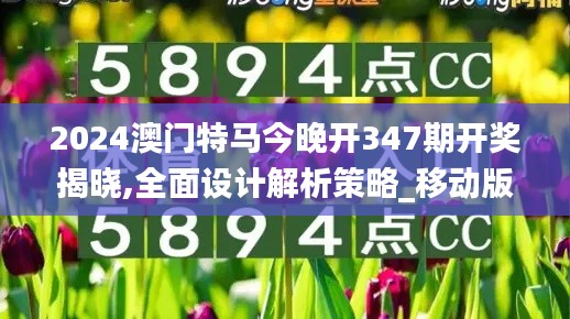 2024澳门特马今晚开347期开奖揭晓,全面设计解析策略_移动版19.465