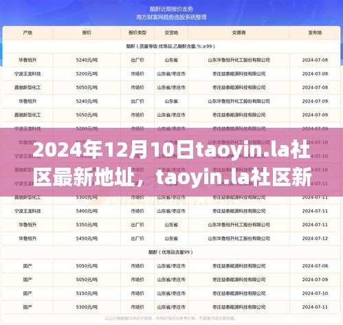 Taoyin.la社区新址启航，追溯文学历史，展望未来发展