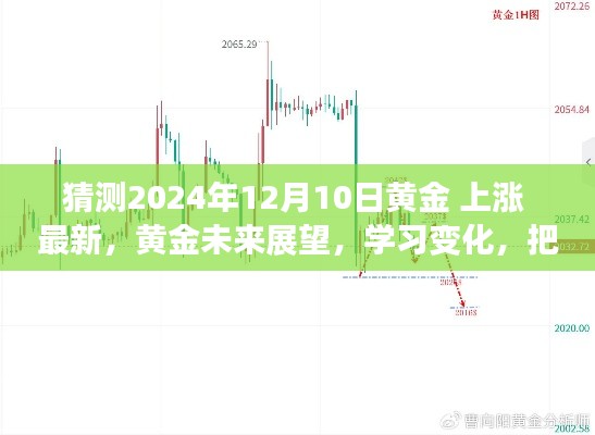 揭秘黄金未来走势，把握机遇，自信闪耀在2024年黄金市场预测与策略学习日
