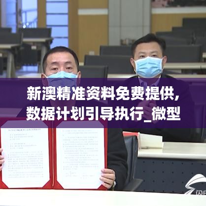 新澳精准资料免费提供,数据计划引导执行_微型版4.102