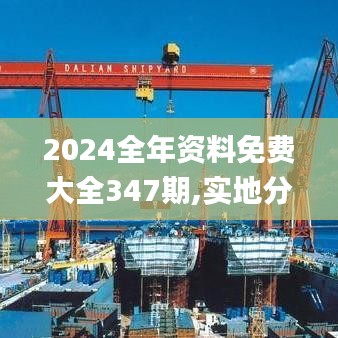 2024全年资料免费大全347期,实地分析解析说明_C版15.295