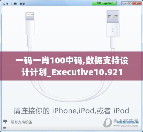 一码一肖100中码,数据支持设计计划_Executive10.921