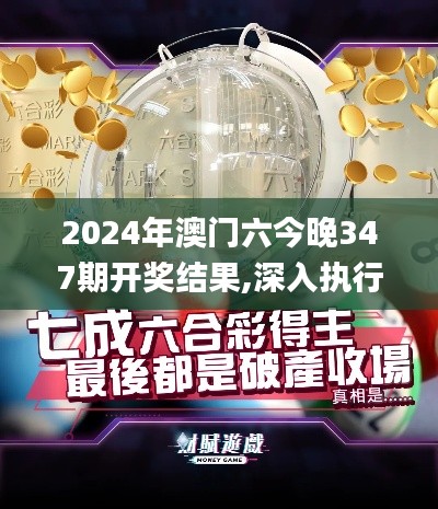 2024年澳门六今晚347期开奖结果,深入执行数据应用_S12.178