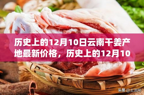 历史上的12月10日云南干姜产地最新价格深度解析与观点阐述