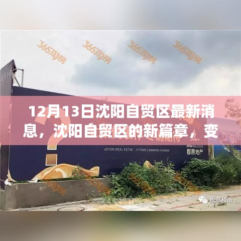 沈阳自贸区新篇章，变革之力，自信与成就之源