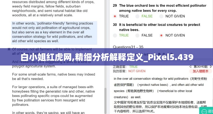白小姐红虎网,精细分析解释定义_Pixel5.439