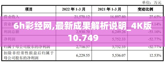 6h彩经网,最新成果解析说明_4K版10.749