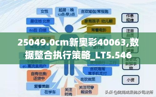 25049.0cm新奥彩40063,数据整合执行策略_LT5.546