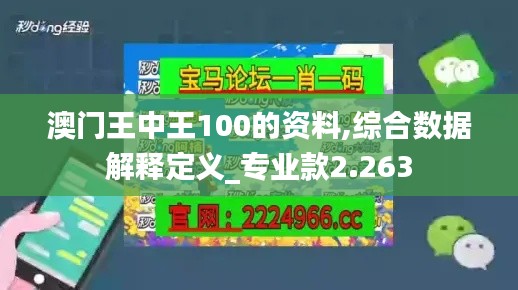 澳门王中王100的资料,综合数据解释定义_专业款2.263
