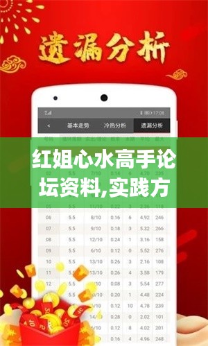红姐心水高手论坛资料,实践方案设计_复刻版9.940