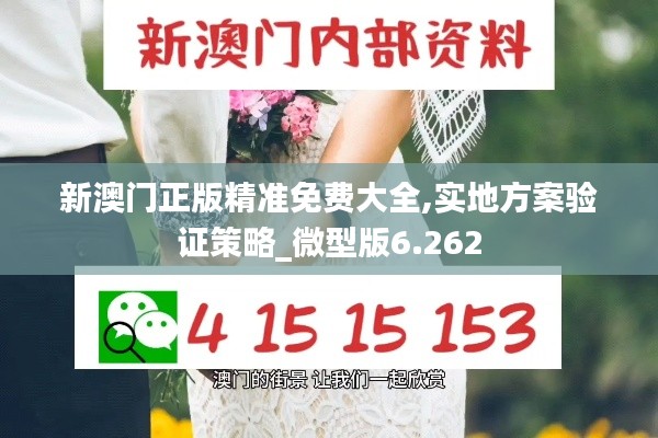 新澳门正版精准免费大全,实地方案验证策略_微型版6.262
