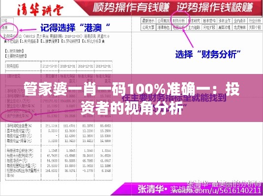 管家婆一肖一码100%准确一：投资者的视角分析