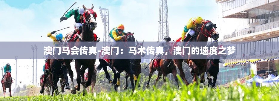 澳门马会传真-澳门：马术传真，澳门的速度之梦