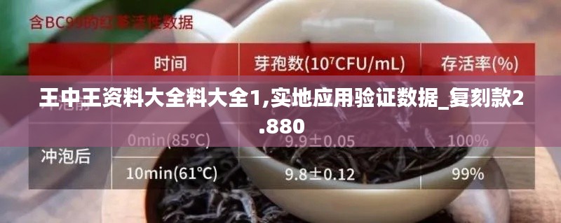 王中王资料大全料大全1,实地应用验证数据_复刻款2.880