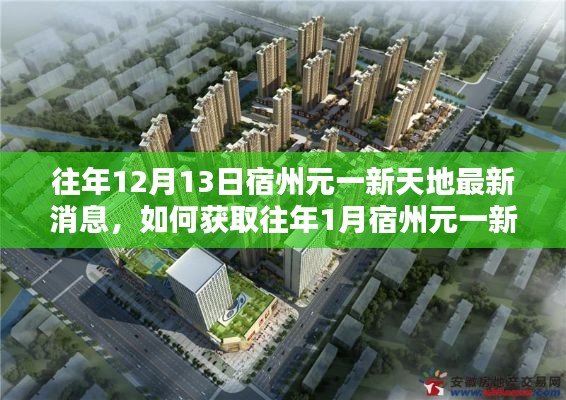 宿州元一新天地最新消息汇总，获取历年动态详细步骤指南