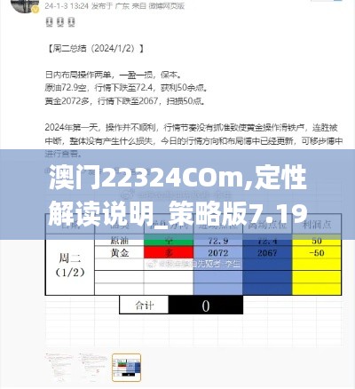 澳门22324COm,定性解读说明_策略版7.190