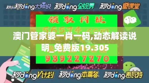 澳门管家婆一肖一码,动态解读说明_免费版19.305