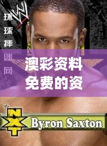 澳彩资料免费的资料大全wwe：如何有效利用免费资料提升wwe竞猜技巧