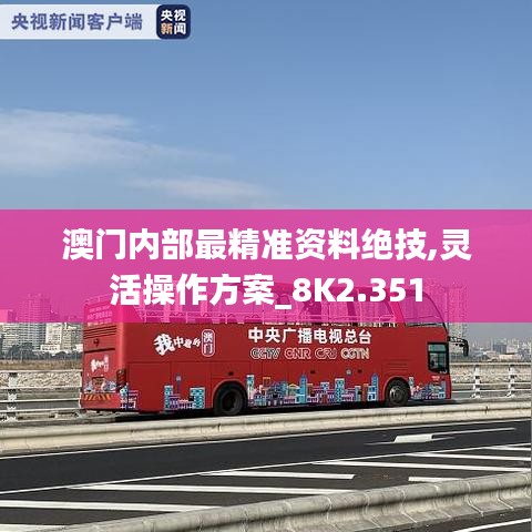 澳门内部最精准资料绝技,灵活操作方案_8K2.351