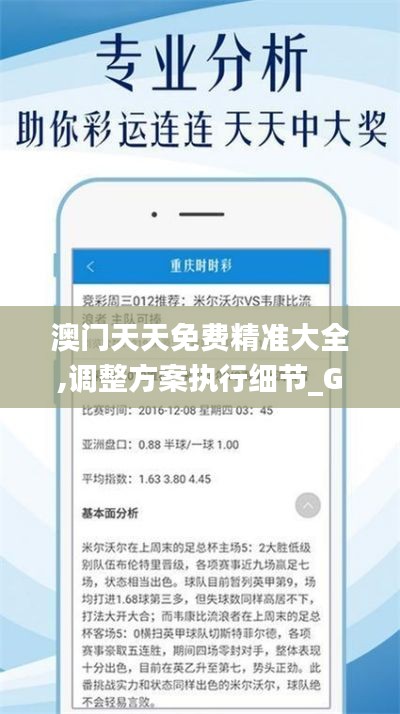 澳门天天免费精准大全,调整方案执行细节_GM版2.401