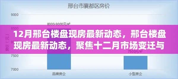 聚焦十二月市场变迁与影响，邢台楼盘现房最新动态详解