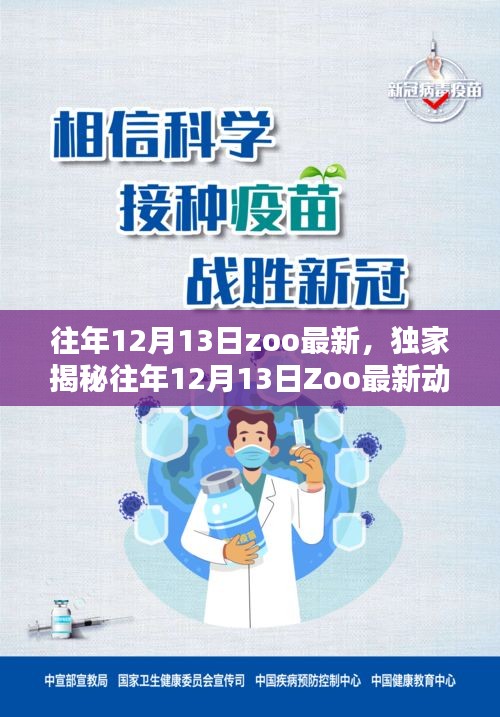 独家揭秘，往年12月13日Zoo最新动态，小红书带你领略独特动物世界风采！