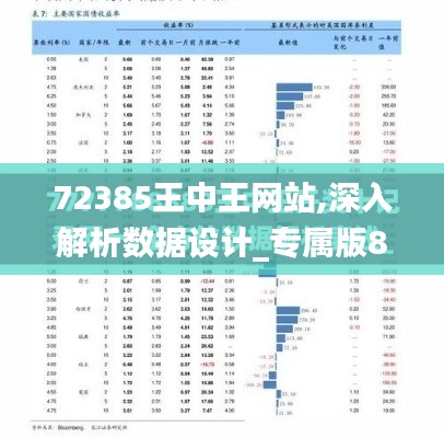 72385王中王网站,深入解析数据设计_专属版8.118