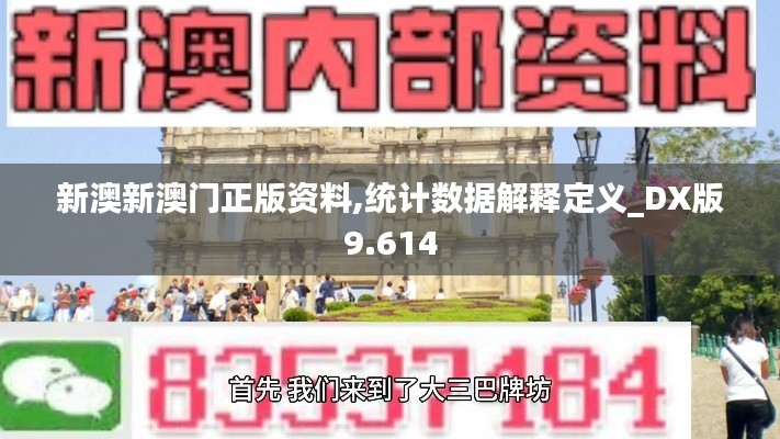新澳新澳门正版资料,统计数据解释定义_DX版9.614