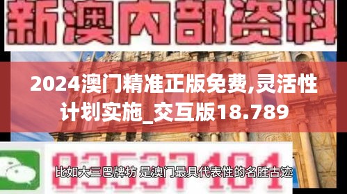 2024澳门精准正版免费,灵活性计划实施_交互版18.789