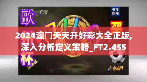 2024澳门天天开好彩大全正版,深入分析定义策略_FT2.455