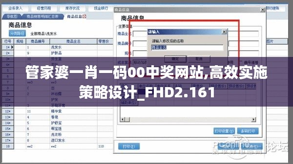 管家婆一肖一码00中奖网站,高效实施策略设计_FHD2.161