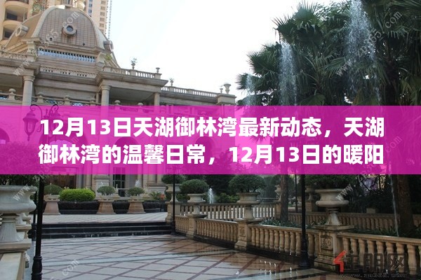 天湖御林湾最新动态，温馨日常与暖阳时光纪实（12月13日）