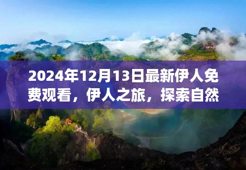 伊人之旅，探索自然美景，心灵宁静的奇妙旅程（最新免费观看）