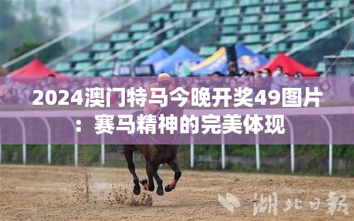 2024澳门特马今晚开奖49图片：赛马精神的完美体现