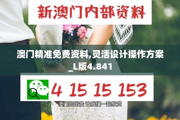 澳门精准免费资料,灵活设计操作方案_L版4.841