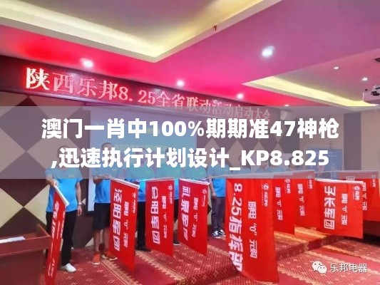 澳门一肖中100%期期准47神枪,迅速执行计划设计_KP8.825