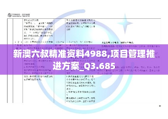 新澳六叔精准资料4988,项目管理推进方案_Q3.685