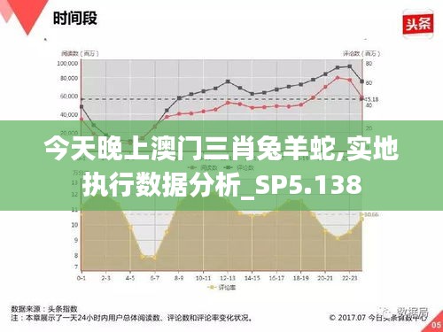 今天晚上澳门三肖兔羊蛇,实地执行数据分析_SP5.138