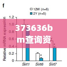373636bm查询资料,完善的执行机制分析_定制版3.187