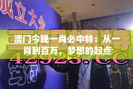 澳门今晚一肖必中特：从一肖到百万，梦想的起点