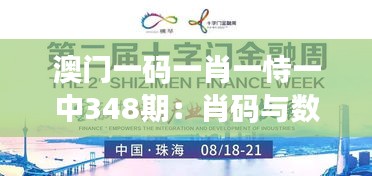 澳门一码一肖一恃一中348期：肖码与数字的神秘交织