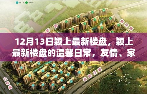 颖上最新楼盘，温馨日常的友情、家庭与美好相遇时光