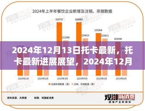 托卡最新进展展望，观点碰撞下的未来蓝图（2024年12月13日）