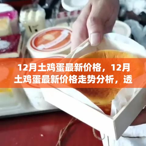 12月土鸡蛋行情分析，价格走势、市场波动与个人立场透视