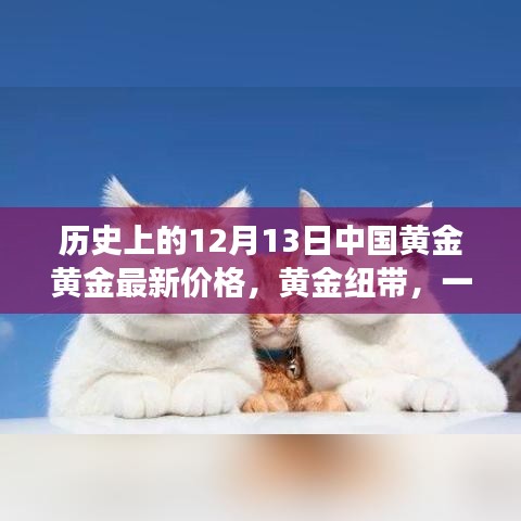黄金纽带，友情与价格的温馨故事——中国黄金最新价格回顾，历史篇之十二月十三日