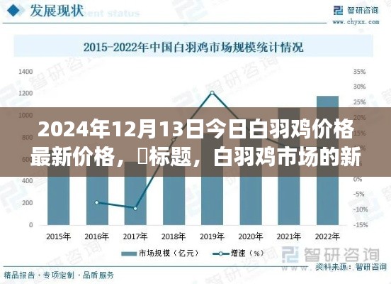 白羽鸡市场今日动态，新篇章开启，价格引领未来繁荣