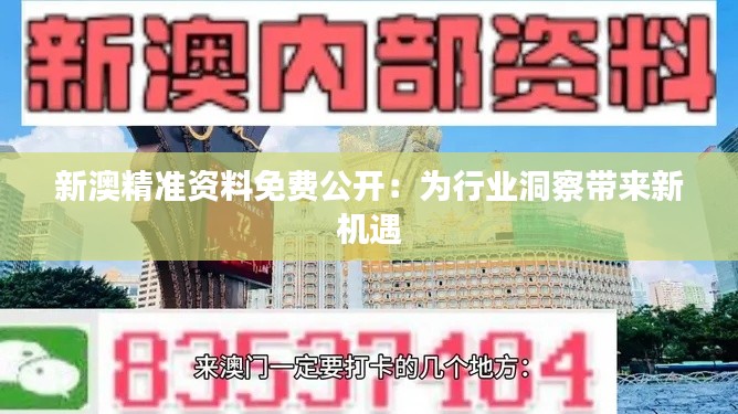 新澳精准资料免费公开：为行业洞察带来新机遇