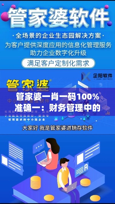管家婆一肖一码100%准确一：财务管理中的精准导航