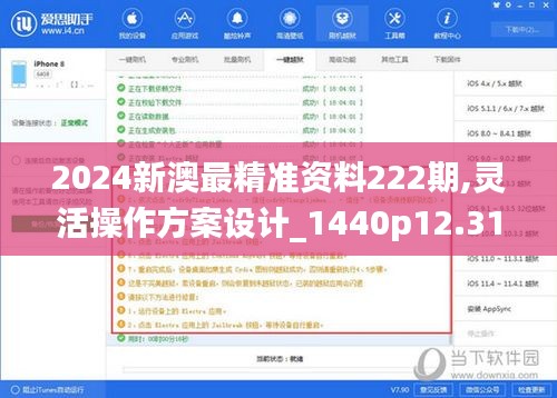 2024新澳最精准资料222期,灵活操作方案设计_1440p12.314